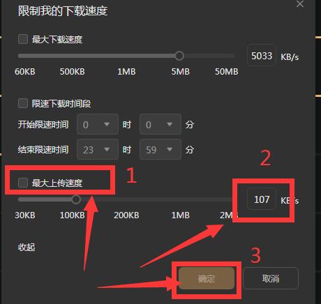 新版迅雷12 设置上传速度