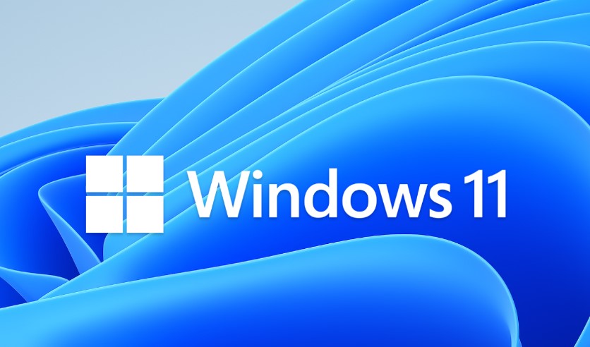Win11更新后取消桌面上的了解此图片图标